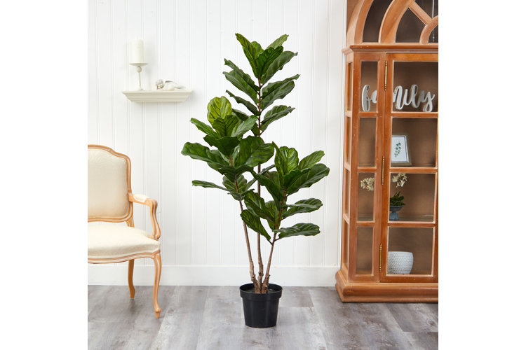 Top 5 Small Faux Plants in 2023 Wayfair